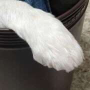 ヒメ日記 2025/12/26 01:51 投稿 レイナ 【福岡デリヘル】20代・30代★博多で評判のお店はココです！