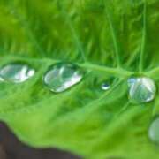 ヒメ日記 2026/02/15 09:27 投稿 レイナ 【福岡デリヘル】20代・30代★博多で評判のお店はココです！