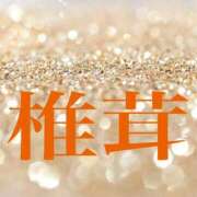 ヒメ日記 2026/03/14 19:30 投稿 レイナ 【福岡デリヘル】20代・30代★博多で評判のお店はココです！