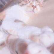 ヒメ日記 2024/12/28 11:04 投稿 すず リアル 日本橋店