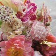 ヒメ日記 2025/12/18 08:34 投稿 ゆきこ 完熟ばなな梅田