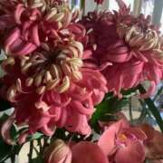 ヒメ日記 2025/12/23 23:14 投稿 ゆきこ 完熟ばなな梅田