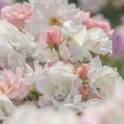 ヒメ日記 2026/01/25 21:04 投稿 ゆきこ 完熟ばなな梅田