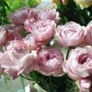 ゆきこ お礼♪ 完熟ばなな梅田