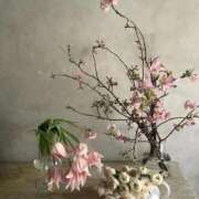 ヒメ日記 2026/03/31 10:04 投稿 ゆきこ 完熟ばなな梅田