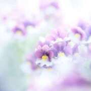 ヒメ日記 2026/04/12 22:04 投稿 ゆきこ 完熟ばなな梅田