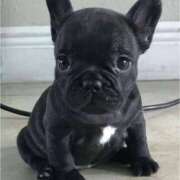 ヒメ日記 2024/12/12 20:56 投稿 特プレミアろびん【NO１！】 LIPS(リップス)