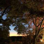 ヒメ日記 2024/12/26 21:29 投稿 特プレミアろびん【NO１！】 LIPS(リップス)