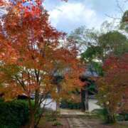 ヒメ日記 2024/12/26 21:32 投稿 特プレミアろびん【NO１！】 LIPS(リップス)