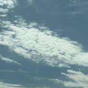 ヒメ日記 2025/01/06 20:55 投稿 特プレミアろびん【NO１！】 LIPS(リップス)