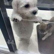 ヒメ日記 2025/01/13 20:50 投稿 特プレミアろびん【NO１！】 LIPS(リップス)