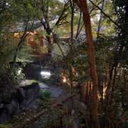 ヒメ日記 2025/01/17 18:14 投稿 特プレミアろびん【NO１！】 LIPS(リップス)