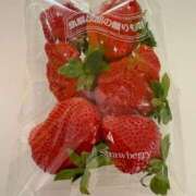 ヒメ日記 2025/01/26 08:54 投稿 特プレミアろびん【NO１！】 LIPS(リップス)