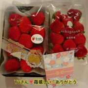 ヒメ日記 2025/01/26 09:00 投稿 特プレミアろびん【NO１！】 LIPS(リップス)