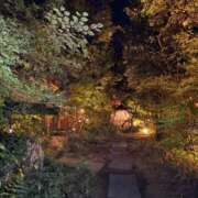 ヒメ日記 2025/02/07 22:47 投稿 特プレミアろびん【NO１！】 LIPS(リップス)