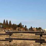 ヒメ日記 2025/02/18 20:59 投稿 特プレミアろびん【NO１！】 LIPS(リップス)