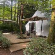 ヒメ日記 2025/05/04 19:28 投稿 特プレミアろびん【NO１！】 LIPS(リップス)