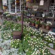 ヒメ日記 2025/05/09 20:10 投稿 特プレミアろびん【NO１！】 LIPS(リップス)