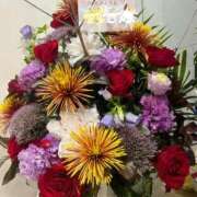 ヒメ日記 2025/05/12 10:36 投稿 特プレミアろびん【NO１！】 LIPS(リップス)