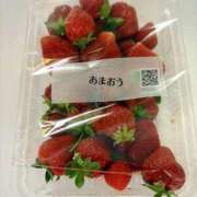 ヒメ日記 2025/05/16 13:52 投稿 特プレミアろびん【NO１！】 LIPS(リップス)