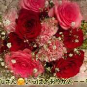 ヒメ日記 2025/05/20 09:49 投稿 特プレミアろびん【NO１！】 LIPS(リップス)