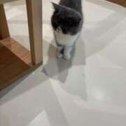 ヒメ日記 2025/05/21 20:09 投稿 特プレミアろびん【NO１！】 LIPS(リップス)