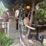 ヒメ日記 2025/05/29 23:02 投稿 特プレミアろびん【NO１！】 LIPS(リップス)