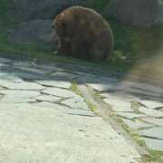 ヒメ日記 2025/07/05 18:41 投稿 特プレミアろびん【NO１！】 LIPS(リップス)