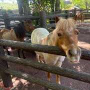 ヒメ日記 2025/07/12 19:43 投稿 特プレミアろびん【NO１！】 LIPS(リップス)