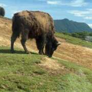 ヒメ日記 2025/07/15 19:58 投稿 特プレミアろびん【NO１！】 LIPS(リップス)