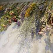 ヒメ日記 2025/08/11 20:48 投稿 特プレミアろびん【NO１！】 LIPS(リップス)