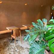 ヒメ日記 2025/08/12 21:31 投稿 特プレミアろびん【NO１！】 LIPS(リップス)