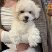 ヒメ日記 2025/08/29 20:34 投稿 特プレミアろびん【NO１！】 LIPS(リップス)