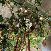 ヒメ日記 2025/09/05 21:41 投稿 特プレミアろびん【NO１！】 LIPS(リップス)