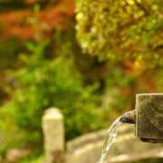 ヒメ日記 2025/09/11 21:35 投稿 特プレミアろびん【NO１！】 LIPS(リップス)