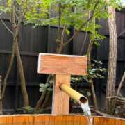 ヒメ日記 2025/09/14 19:58 投稿 特プレミアろびん【NO１！】 LIPS(リップス)