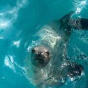 ヒメ日記 2025/10/07 16:04 投稿 特プレミアろびん【NO１！】 LIPS(リップス)