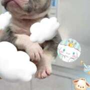 ヒメ日記 2025/11/18 18:00 投稿 特プレミアろびん【NO１！】 LIPS(リップス)