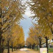 ヒメ日記 2025/12/02 16:57 投稿 特プレミアろびん【NO１！】 LIPS(リップス)