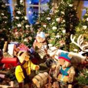 ヒメ日記 2025/12/25 17:21 投稿 特プレミアろびん【NO１！】 LIPS(リップス)