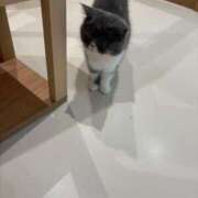 ヒメ日記 2025/12/28 19:46 投稿 特プレミアろびん【NO１！】 LIPS(リップス)