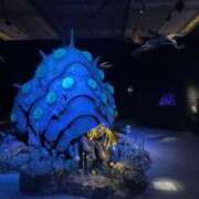 ヒメ日記 2026/01/31 21:30 投稿 特プレミアろびん【NO１！】 LIPS(リップス)