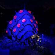 ヒメ日記 2026/02/02 21:43 投稿 特プレミアろびん【NO１！】 LIPS(リップス)