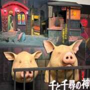 ヒメ日記 2026/02/09 21:11 投稿 特プレミアろびん【NO１！】 LIPS(リップス)