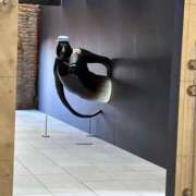 ヒメ日記 2026/02/16 19:25 投稿 特プレミアろびん【NO１！】 LIPS(リップス)