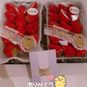 ヒメ日記 2026/04/09 18:46 投稿 特プレミアろびん【NO１！】 LIPS(リップス)