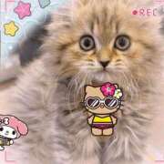 ヒメ日記 2026/07/13 23:00 投稿 特プレミアろびん【NO１！】 LIPS(リップス)