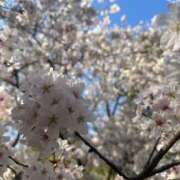 ヒメ日記 2025/04/02 12:19 投稿 いおり【グラマーエロボディ】 LIPS(リップス)