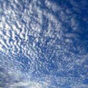 ヒメ日記 2025/06/01 19:10 投稿 いおり【グラマーエロボディ】 LIPS(リップス)