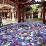 ヒメ日記 2025/06/16 20:12 投稿 いおり【グラマーエロボディ】 LIPS(リップス)